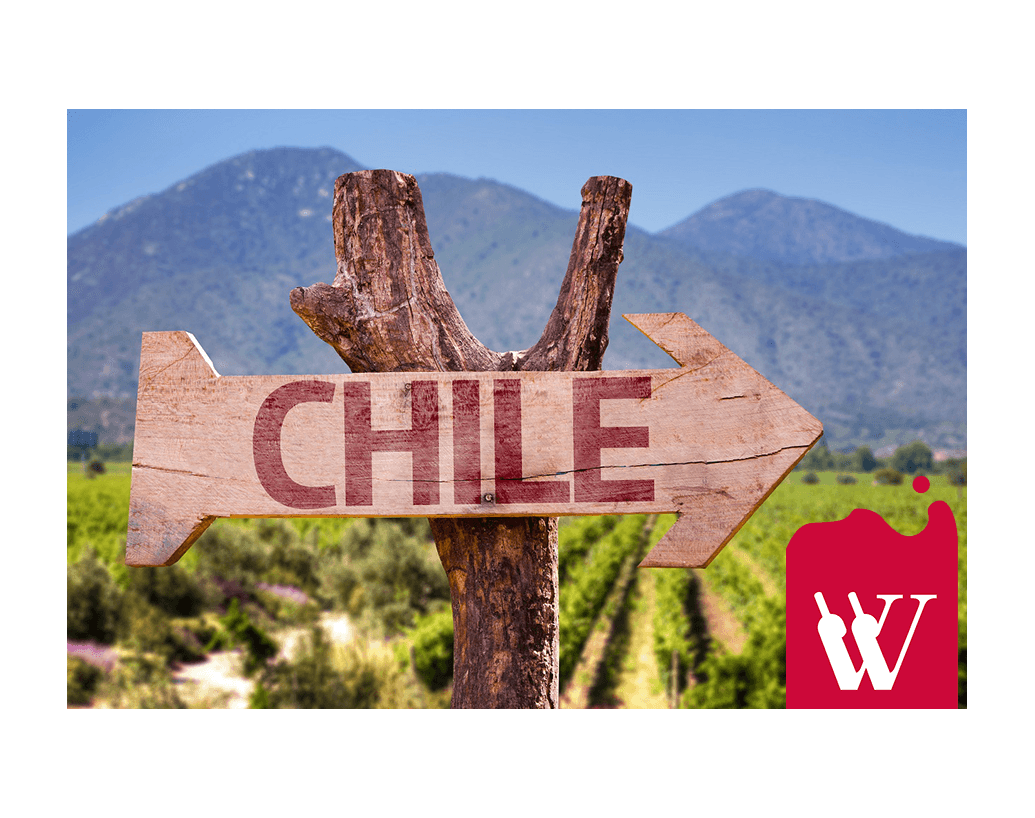 Bogactwo wina z Chile - sprawdź, co warto wiedzieć Bogactwo wina z Chile - sprawdź, co warto wiedzieć